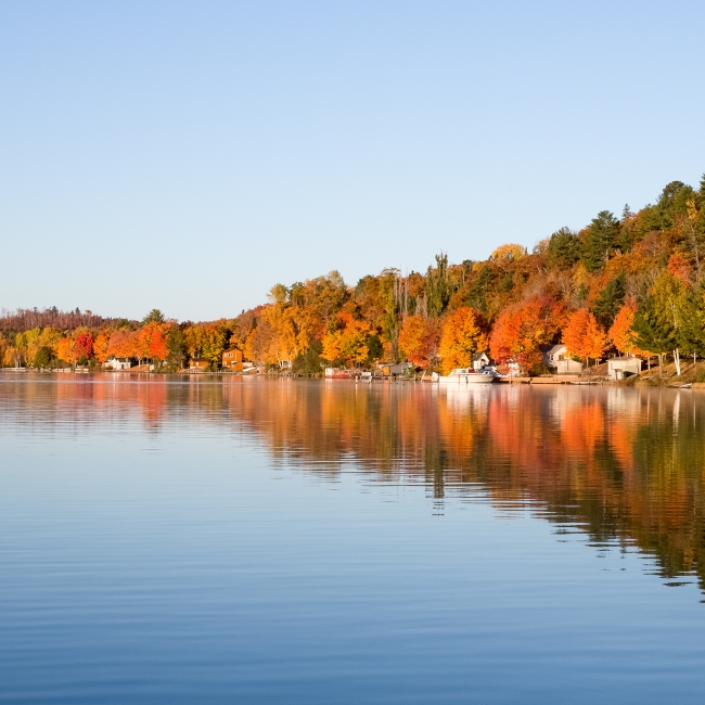 fall colours in muskoka