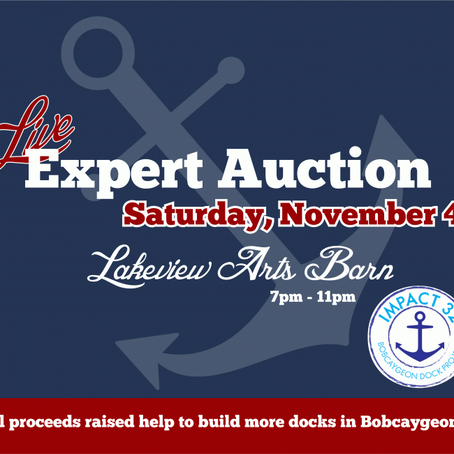 Expert Auction